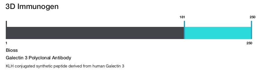 Galectin 3 Polyclonal Antibody