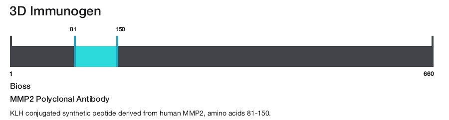 MMP2 Polyclonal Antibody