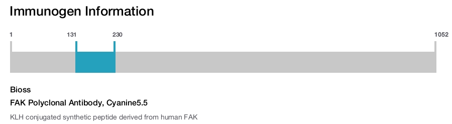 FAK Polyclonal Antibody, Cyanine5.5