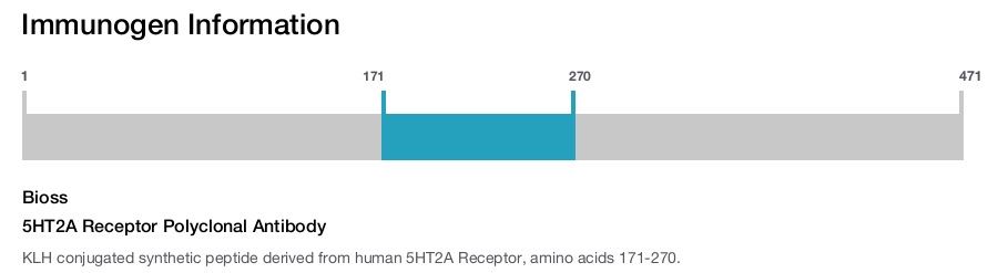 5HT2A Receptor Polyclonal Antibody