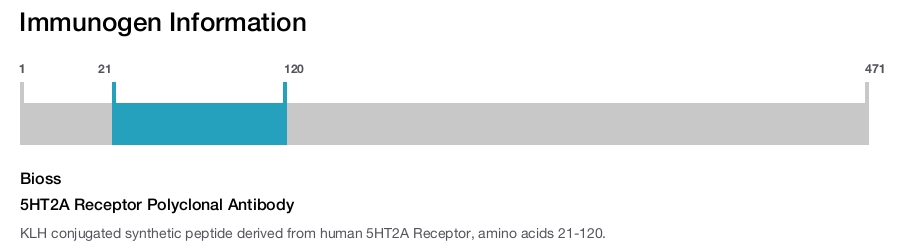 5HT2A Receptor Polyclonal Antibody