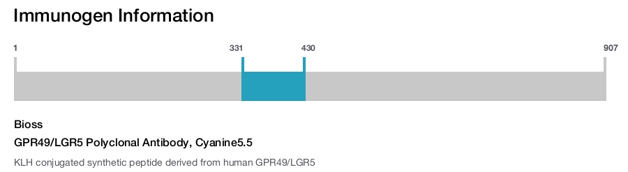 GPR49/LGR5 Polyclonal Antibody, Cyanine5.5