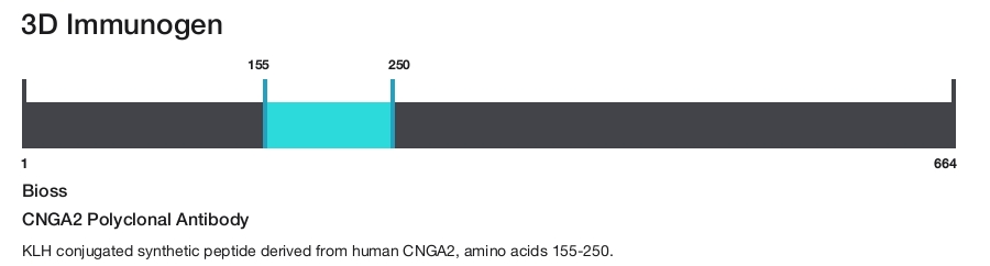 CNGA2 Polyclonal Antibody