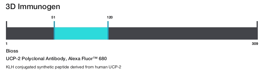 UCP-2 Polyclonal Antibody, Alexa Fluor&trade; 680