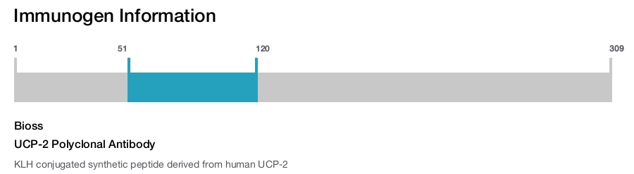 UCP-2 Polyclonal Antibody