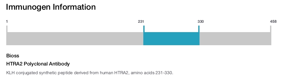 HTRA2 Polyclonal Antibody
