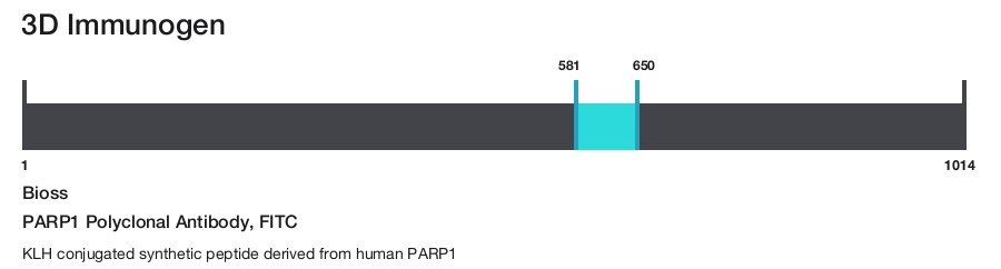 PARP1 Polyclonal Antibody, FITC