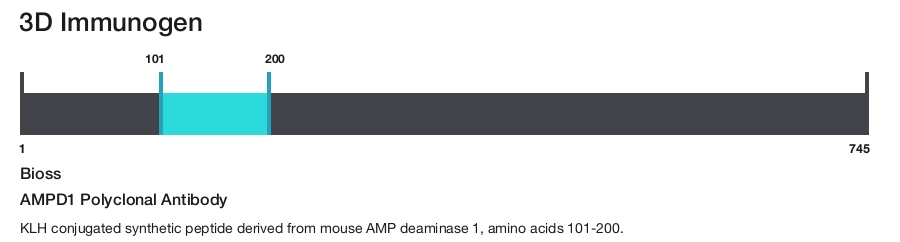 AMPD1 Polyclonal Antibody