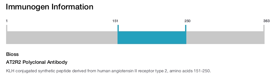 AT2R2 Polyclonal Antibody
