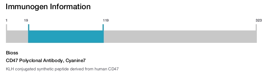 CD47 Polyclonal Antibody, Cyanine7