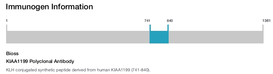 KIAA1199 Polyclonal Antibody