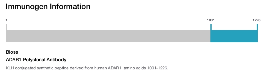 ADAR1 Polyclonal Antibody