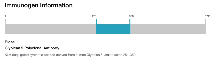 Glypican 5 Polyclonal Antibody
