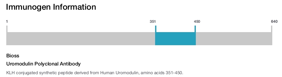Uromodulin Polyclonal Antibody