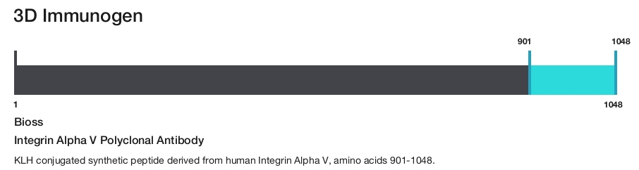 Integrin Alpha V Polyclonal Antibody