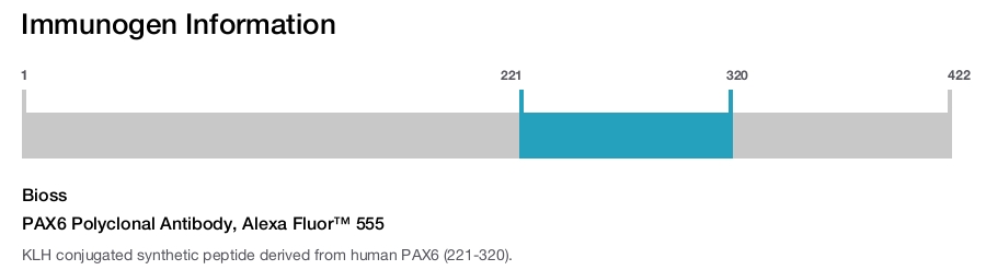 PAX6 Polyclonal Antibody, Alexa Fluor™ 555