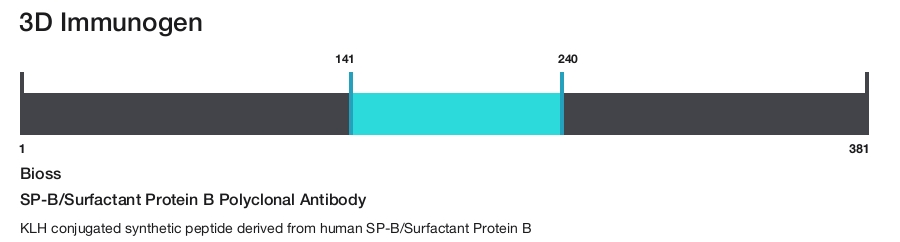 SP-B/Surfactant Protein B Polyclonal Antibody