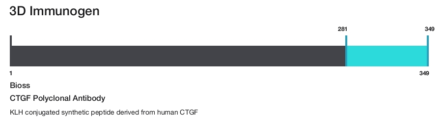 CTGF Polyclonal Antibody