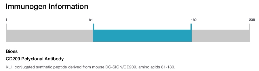 CD209 Polyclonal Antibody