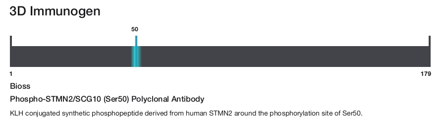 Phospho-STMN2/SCG10 (Ser50) Polyclonal Antibody