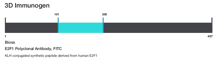 E2F1 Polyclonal Antibody, FITC