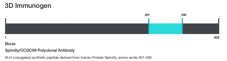 Spindly/CCDC99 Polyclonal Antibody