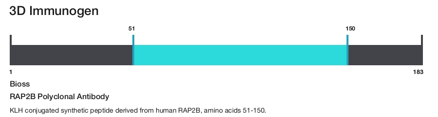 RAP2B Polyclonal Antibody