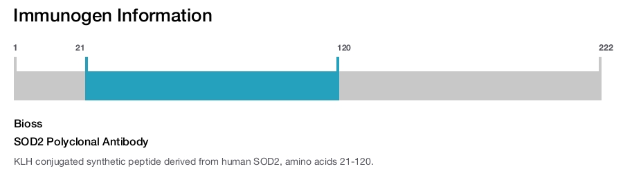 SOD2 Polyclonal Antibody