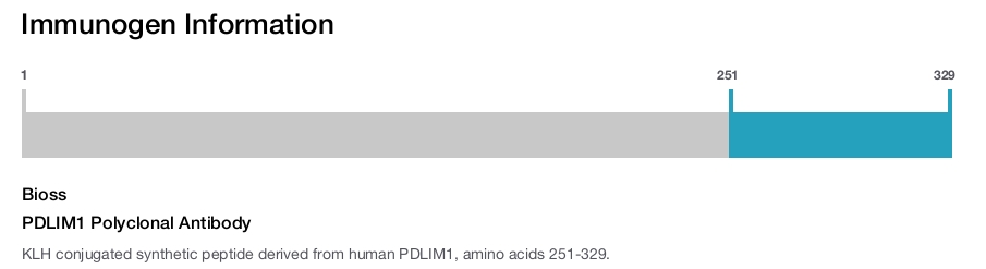 PDLIM1 Polyclonal Antibody