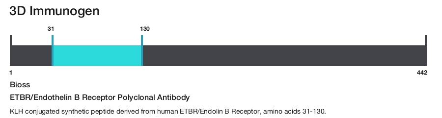 ETBR/Endothelin B Receptor Polyclonal Antibody