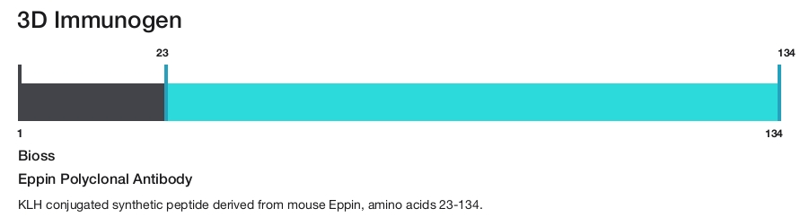 Eppin Polyclonal Antibody