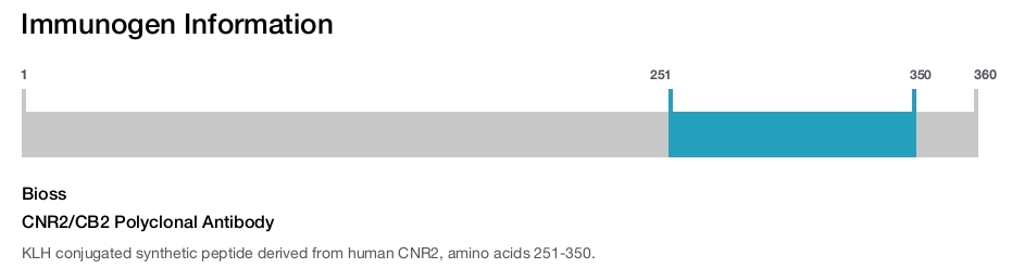 CNR2/CB2 Polyclonal Antibody