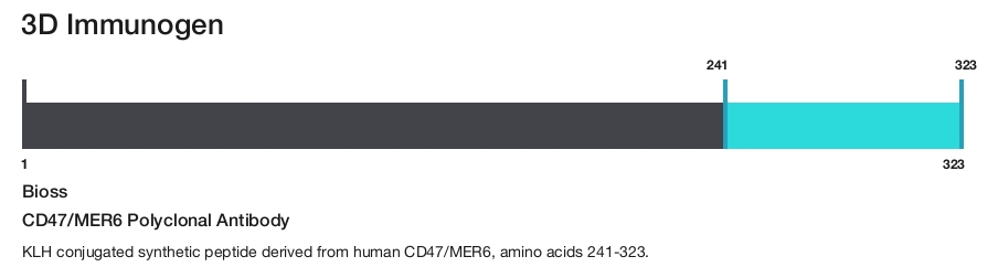 CD47/MER6 Polyclonal Antibody