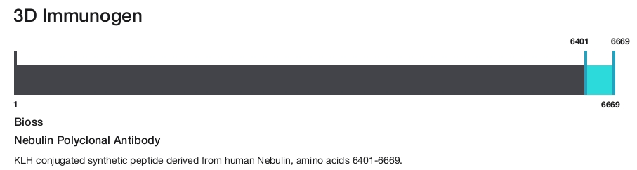 Nebulin Polyclonal Antibody