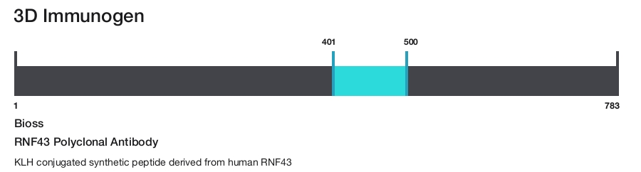 RNF43 Polyclonal Antibody