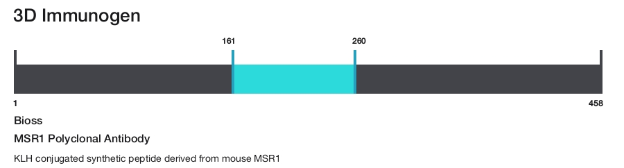 MSR1 Polyclonal Antibody