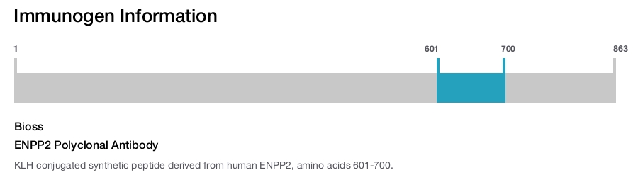 ENPP2 Polyclonal Antibody