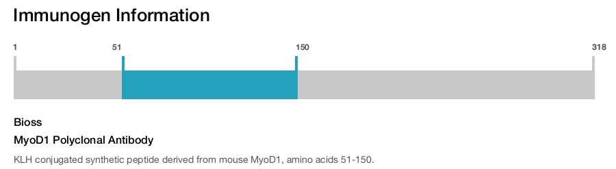 MyoD1 Polyclonal Antibody