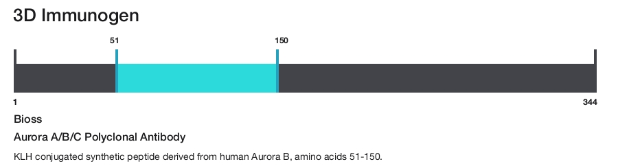 Aurora A/B/C Polyclonal Antibody
