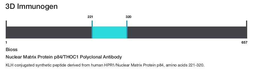 Nuclear Matrix Protein p84/THOC1 Polyclonal Antibody