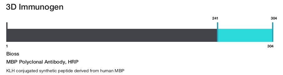 MBP Polyclonal Antibody, HRP