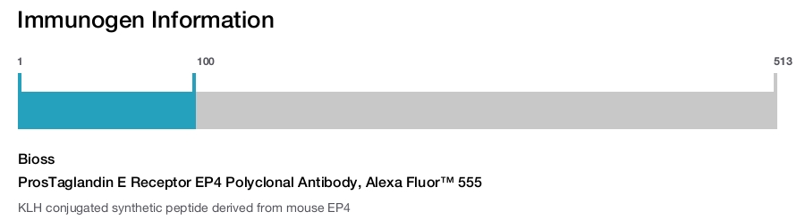ProsTaglandin E Receptor EP4 Polyclonal Antibody, Alexa Fluor™ 555