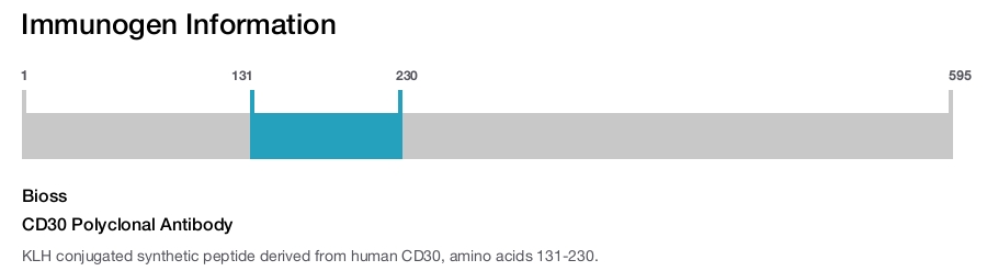 CD30 Polyclonal Antibody