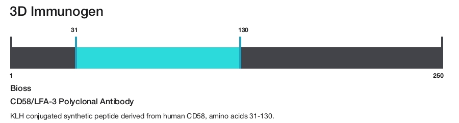 CD58/LFA-3 Polyclonal Antibody