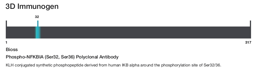 Phospho-NFKBIA (Ser32, Ser36) Polyclonal Antibody