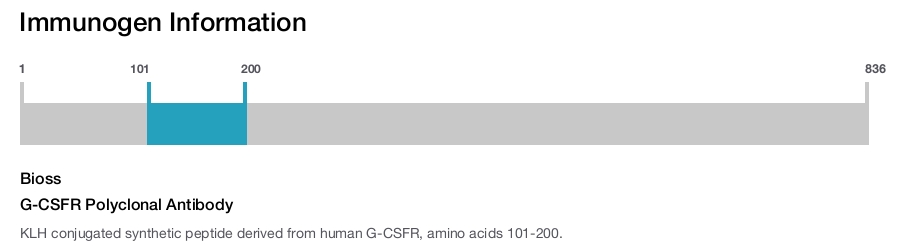 G-CSFR Polyclonal Antibody