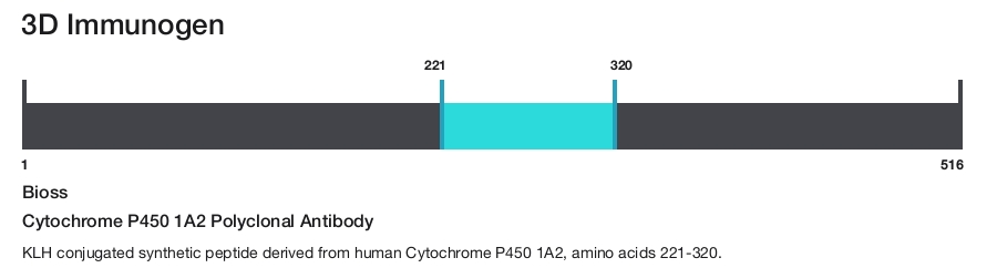 Cytochrome P450 1A2 Polyclonal Antibody