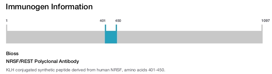 NRSF/REST Polyclonal Antibody