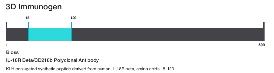 IL-18R Beta/CD218b Polyclonal Antibody