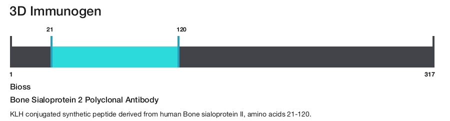 Bone Sialoprotein 2 Polyclonal Antibody